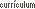 Curr&iacute;culum